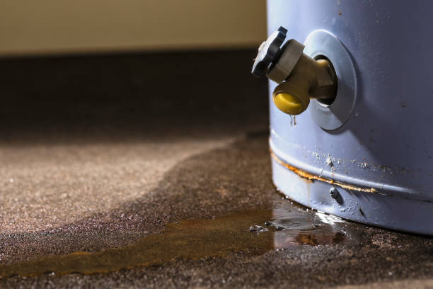 Best Flood damage cleanup  in Clayton, NC