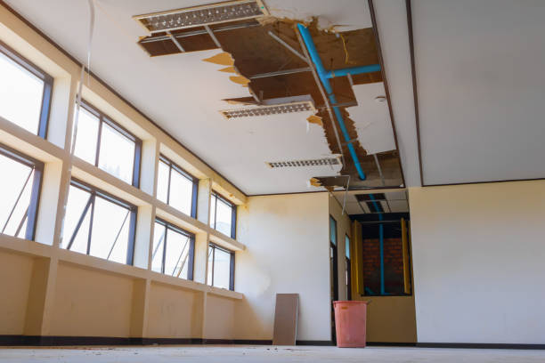 Best Basement water damage restoration  in Clayton, NC