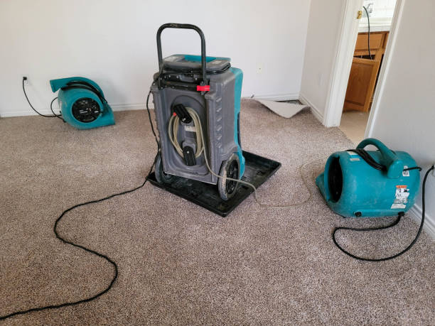 Clayton, NC Water damage restoration Pros