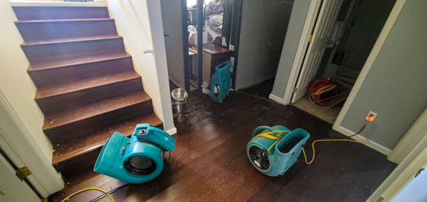 Best 24-hour water damage restoration  in Clayton, NC