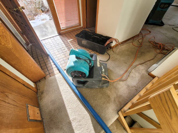 Best Water damage contractors near me  in Clayton, NC