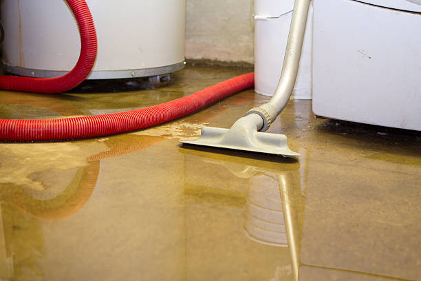 Best Flood damage cleanup  in Clayton, NC