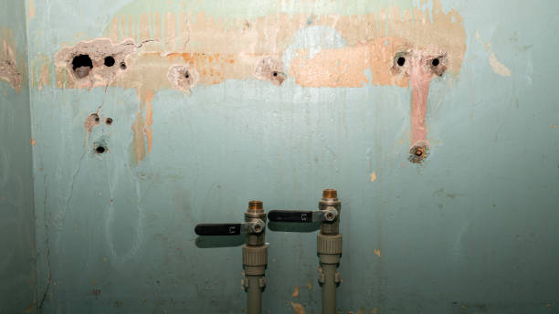 Best Water damage cleanup near me  in Clayton, NC
