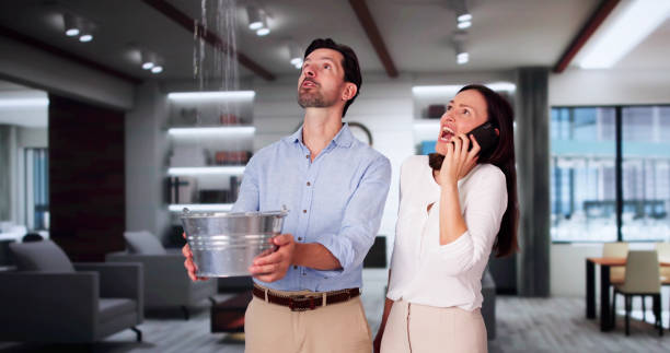 Best Fire Damage Restoration  in Clayton, NC