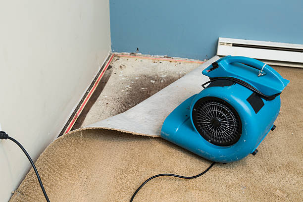 Best Flooded house restoration  in Clayton, NC